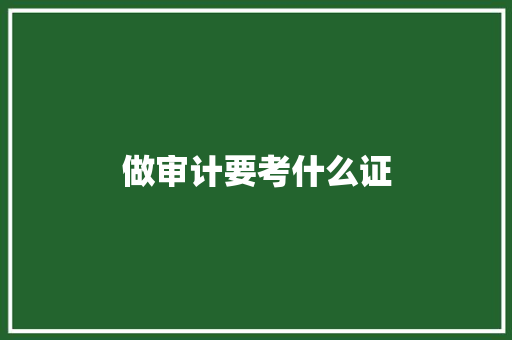 做审计要考什么证