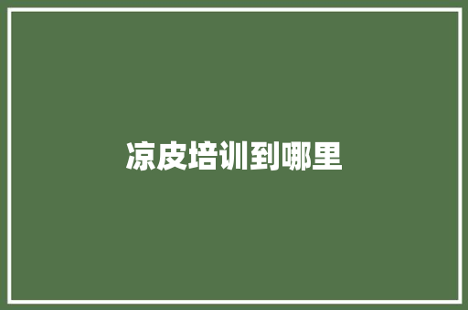 凉皮培训到哪里