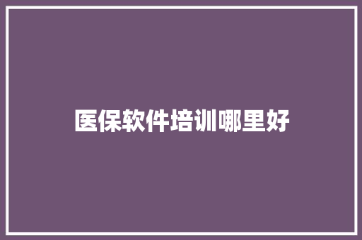 医保软件培训哪里好