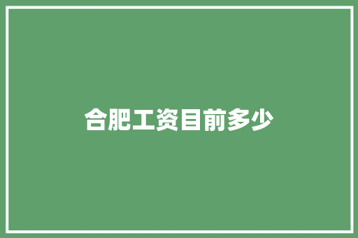 合肥工资目前多少