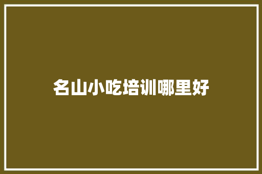 名山小吃培训哪里好