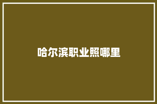 哈尔滨职业照哪里