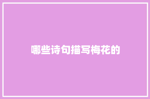 哪些诗句描写梅花的
