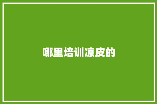 哪里培训凉皮的