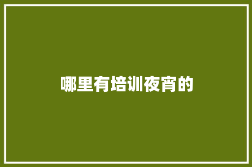 哪里有培训夜宵的