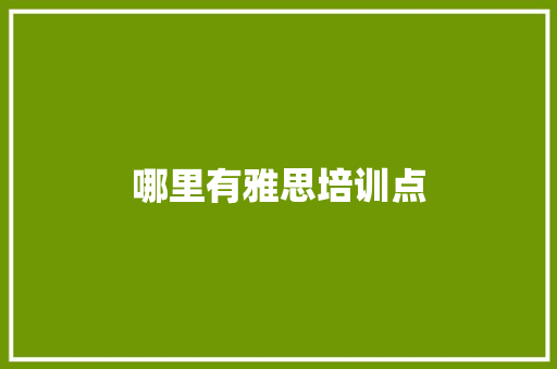 哪里有雅思培训点