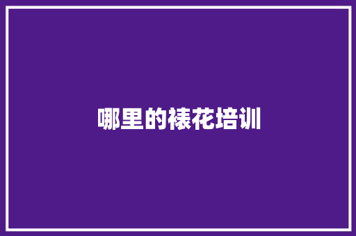 哪里的裱花培训