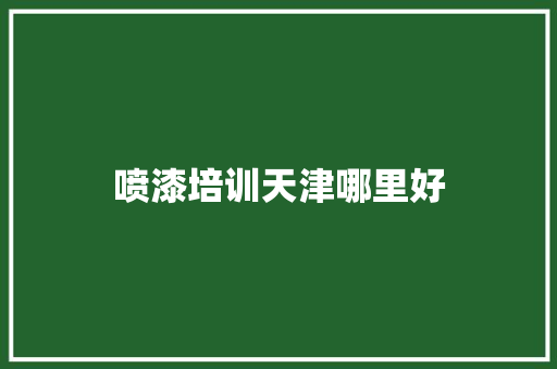 喷漆培训天津哪里好