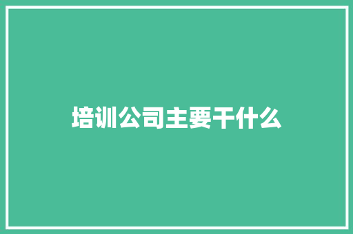 培训公司主要干什么