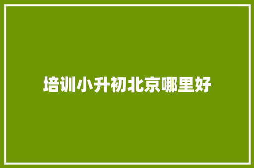 培训小升初北京哪里好