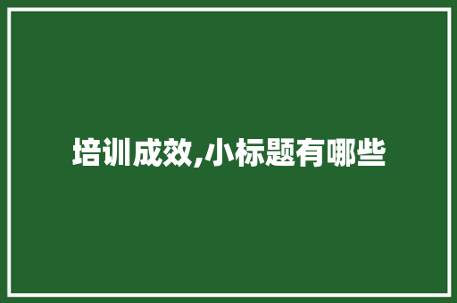 培训成效,小标题有哪些
