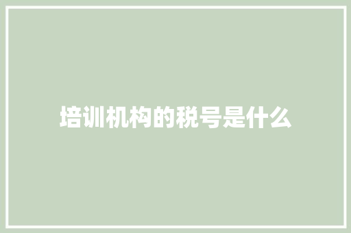 培训机构的税号是什么