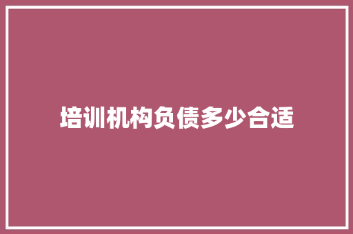 培训机构负债多少合适