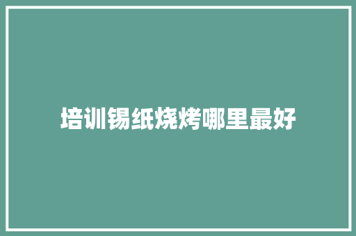 培训锡纸烧烤哪里最好