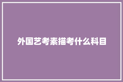外国艺考素描考什么科目