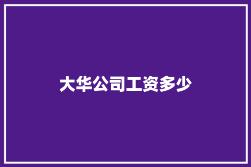 大华公司工资多少