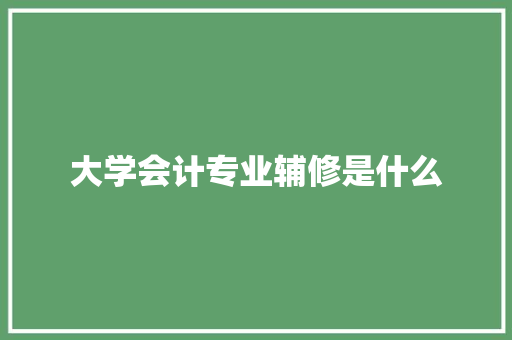 大学会计专业辅修是什么