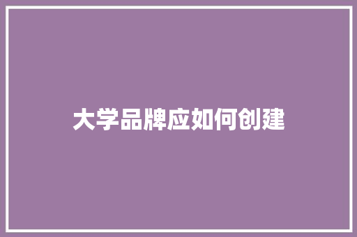 大学品牌应如何创建