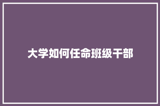 大学如何任命班级干部