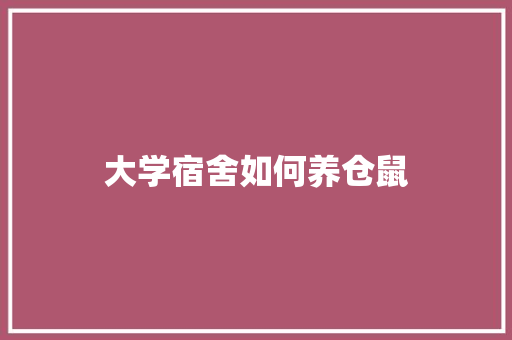 大学宿舍如何养仓鼠