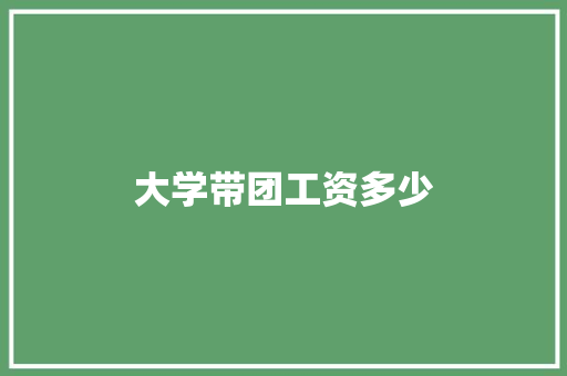 大学带团工资多少