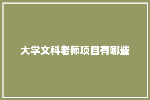 大学文科老师项目有哪些 工作总结
