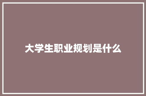 大学生职业规划是什么