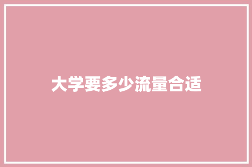 大学要多少流量合适