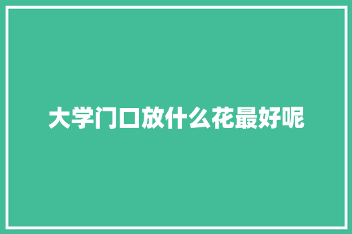 大学门口放什么花最好呢