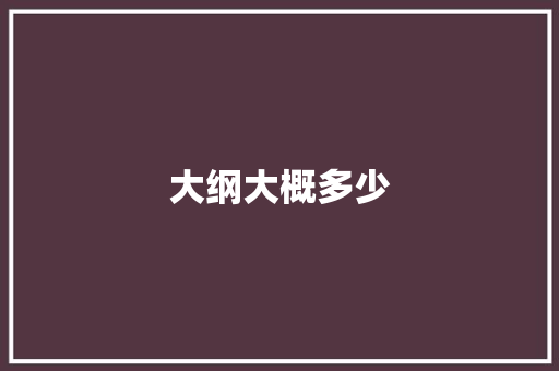 大纲大概多少