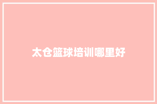 太仓篮球培训哪里好 工作总结