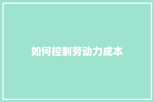 如何控制劳动力成本
