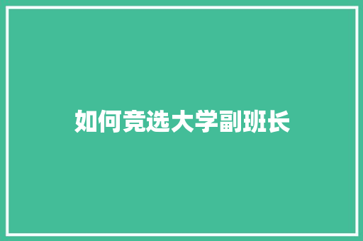 如何竞选大学副班长