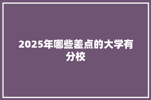 2025年哪些差点的大学有分校 应用文