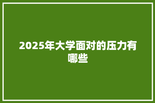 2025年大学面对的压力有哪些 项目报告