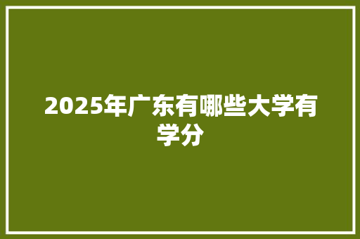 2025年广东有哪些大学有学分 项目报告
