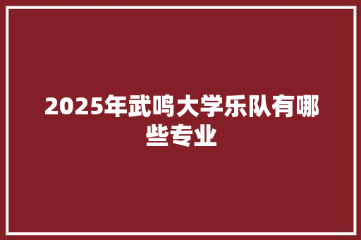 2025年武鸣大学乐队有哪些专业