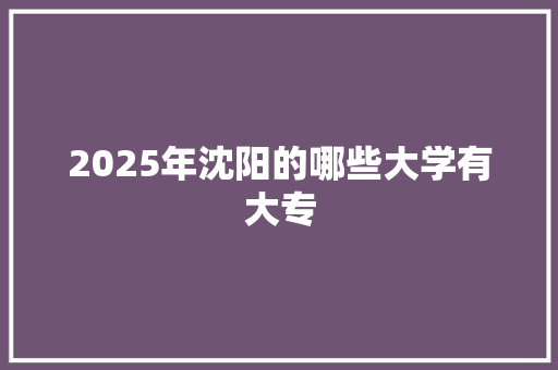 2025年沈阳的哪些大学有大专