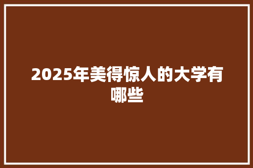 2025年美得惊人的大学有哪些