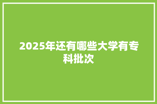 2025年还有哪些大学有专科批次