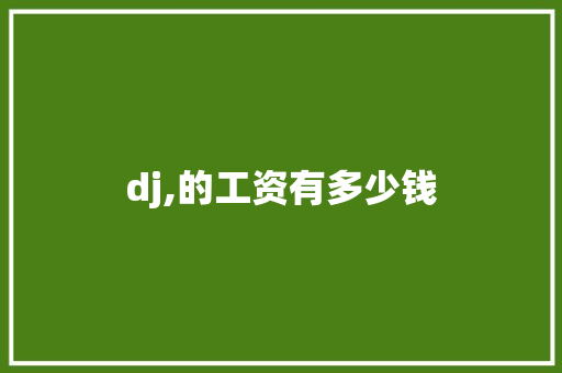 dj,的工资有多少钱
