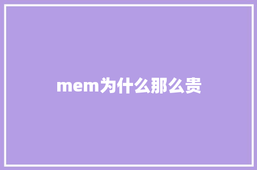 mem为什么那么贵 工作总结