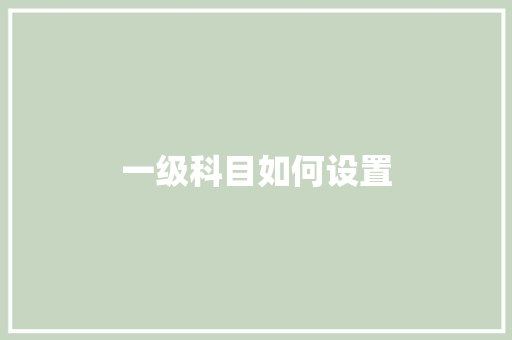 一级科目如何设置
