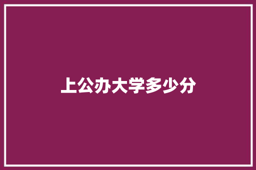 上公办大学多少分