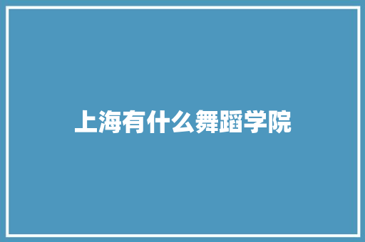 上海有什么舞蹈学院 会议纪要