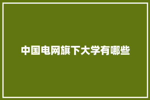 中国电网旗下大学有哪些
