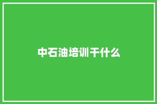 中石油培训干什么 会议纪要
