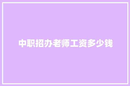 中职招办老师工资多少钱