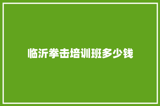 临沂拳击培训班多少钱