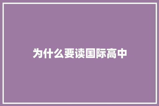为什么要读国际高中 工作总结